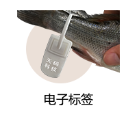 溯源系統 (0)