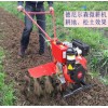 德尼爾森》牌多功能柴油微耕機(jī)廠家