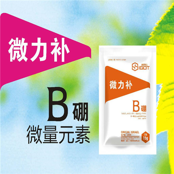 微力補2