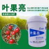 葉果亮水溶肥桶肥 花果肥料葉面肥 氨基酸水溶性肥料