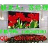 舞臺led屏幕廠家、舞臺led屏幕、舞臺led屏幕價格