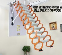 電動樓梯 (8)