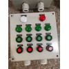 BZC51-A2D2K1G設(shè)備機旁防爆操作柱