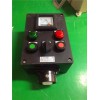 BZC8050-A2B1D2G水泵現場防爆防腐操作柱
