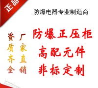 防爆正壓柜 (18)