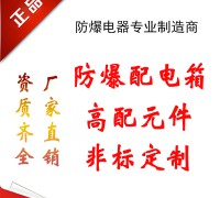 防爆配電箱 (14)