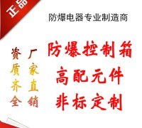 防爆控制箱 (20)