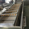 蔬菜清洗機 芥菜全自動氣泡式洗菜機 水果蔬菜去農殘解毒清洗設備