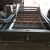 水果蔬菜清洗機設備 噴淋式大姜清洗機  不銹鋼材質氣泡清洗機