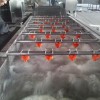 果蔬清洗機 大棗清洗線 紅棗氣泡清洗設備效率高