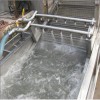現貨銷售不銹鋼蓮藕清洗設備 商用水果蔬菜清洗機 噴淋氣泡式清洗