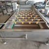 廠家直銷氣泡式清洗機 多功能果蔬清洗設備 適用于蔬菜水果清洗