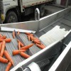 廠家直銷大型豆芽氣泡清洗機 全自動多功能果蔬清洗機械設備