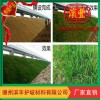 植草護坡毯新品 廠家直銷量大從優