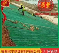 濱豐護坡植被墊 (22)