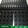 廠家直銷小區綠化HDPE塑料排水板 卷材塑料排水板生產廠家 高20凹凸型塑料排水板質量