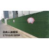 江蘇貝森人造草坪，圍擋草坪，裝飾草坪，園林草坪，幼兒園草坪，足球場草坪