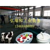 中小型酸奶設備多少錢_小型酸奶生產設備_酸奶生產設備價格