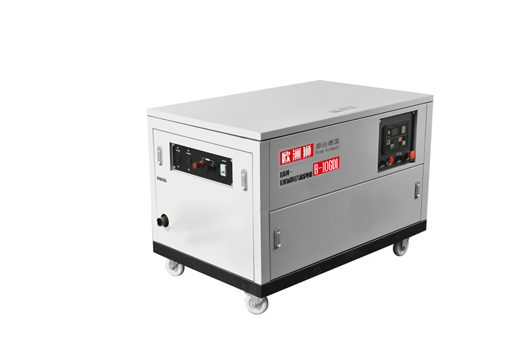 10KW汽油發(fā)電機B-12GDI (20)
