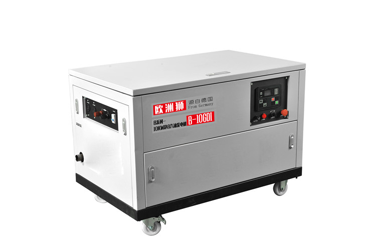10KW汽油發(fā)電機B-12GDI (14)