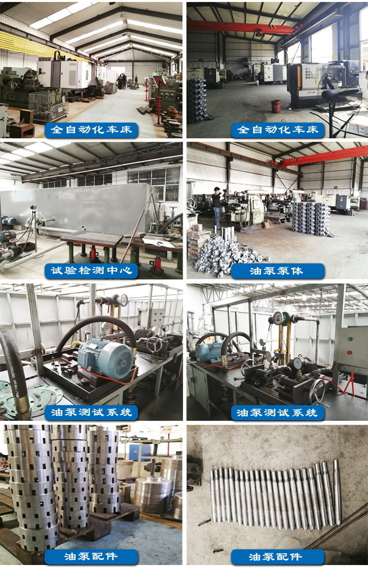 導(dǎo)熱油泵 批發(fā) 導(dǎo)熱油循環(huán)泵 廠家直銷 高溫離心泵示例圖20