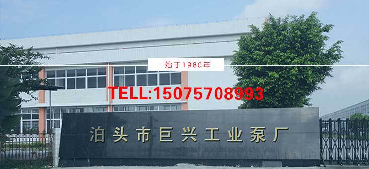 導(dǎo)熱油泵 批發(fā) 導(dǎo)熱油循環(huán)泵 廠家直銷 高溫離心泵示例圖28