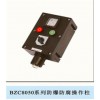 LCZ8030-B1D2K1G防爆防腐操作柱