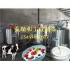 工廠酸奶設(shè)備|小作坊生產(chǎn)酸奶設(shè)備|小型牛奶酸奶生產(chǎn)設(shè)備