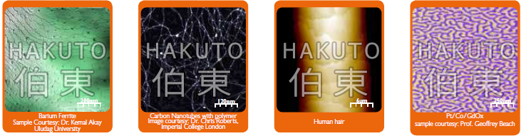 hpAFM-高性能原子力顯微鏡