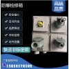 防爆配電箱 控制箱 防爆配電箱 高溫防爆箱防爆配電箱