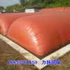 安徽潛山市農家豬廠發酵沼氣池 紅泥軟體沼氣袋一次投資受益十年