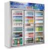 商用冷凍柜價(jià)格 商用冷凍柜送貨上門