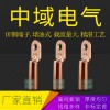 DT銅鼻子 堵油式 國標紫銅線鼻子線耳 電纜接線端子 螺釘孔可定做