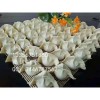江蘇餃子機(jī)供銷處 上海餃子機(jī)哪里有賣