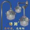 免維護節能垃圾焚燒發電廠化工廠防水防腐綠鯨無火花LED防爆燈
