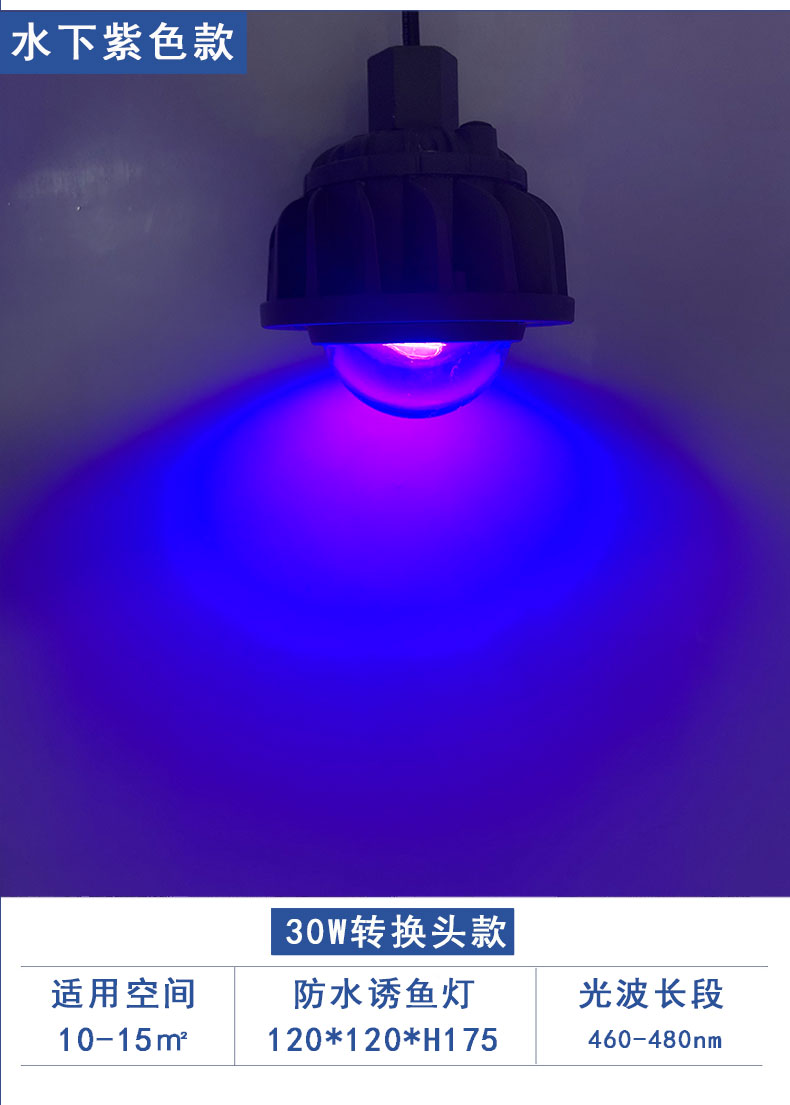 捕魚燈_14