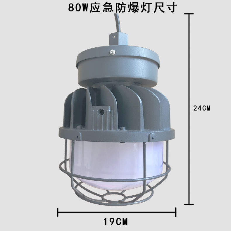 80WLED防爆應急燈(80WLED explosion-proof emergency light)