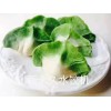 家用餃子機加工設備