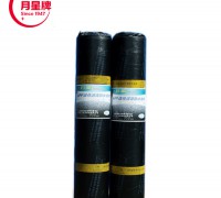 國產防水材料品牌有哪些？十防水卷材廠家 (0)