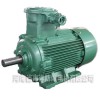 南洋高壓電機(jī)，高壓隔爆電機(jī)，三相異步電動(dòng)機(jī)廠家直銷河南南洋防爆電機(jī)有限公司