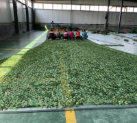 迷彩網(wǎng) 偽裝迷彩網(wǎng) 偽裝迷彩網(wǎng)廠家直銷偽裝迷彩網(wǎng)價格 (5)