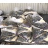 批發供應無錫橡膠混練用低熔點投料袋,低熔點塑料袋