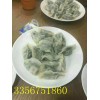湖北炕餃子餃子機（煎餃子）