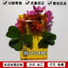 彩色透明亞克力板黃色有機玻璃板加工黃色亞克力板材358mm可切割任意尺寸