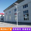 廠家直銷 LED太陽(yáng)能路燈 6米8米10米太陽(yáng)能燈太陽(yáng)能庭院燈太陽(yáng)能