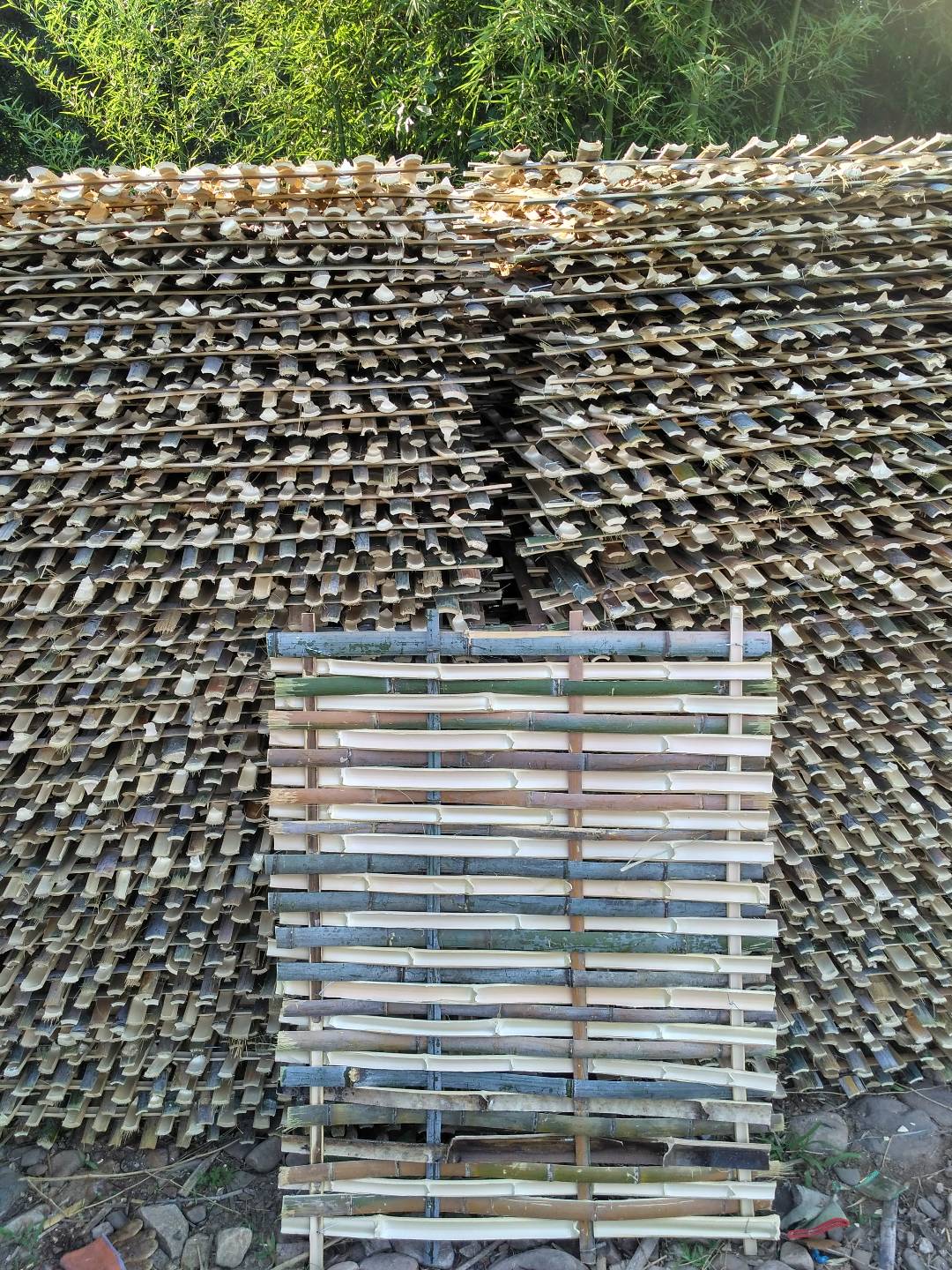 竹跳板（規(guī)格可定制）