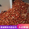 永超元寶機 鼓扁兩用元寶機廠家 元寶折疊機折元寶機器廠家民俗用品機械元寶機廠家直銷