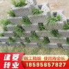 質(zhì)量?jī)?yōu)質(zhì)擋土墻 擋土墻廠(chǎng)家 混凝土砌塊 景觀(guān)擋土墻生態(tài)擋土墻直銷(xiāo) 廠(chǎng)家