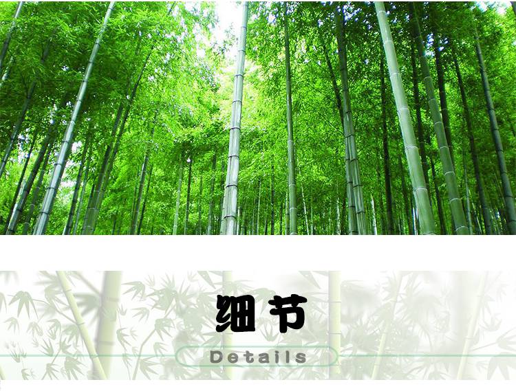 廣東中山竹籬笆柵欄圍欄揚州高郵竹籬笆哪家買
