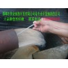 簡單介紹地熱資源的特點